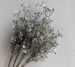Fresh And Simple 3-branch Gypsophila Wholesale Artificial Fake Flowers For Foreign Trade, Home Decoration, Wedding_maomaolike.com