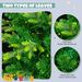6FT Pre-Lit Aspen Fir Artificial Christmas Tree With Wreath & Garland,Grass Green Xmas Tree With 380 Multi-Color LED Lights, 11 Lighting Modes, 861 PE Branch Tips, For Indoor Holiday Decor_maomaolike.com