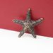 Simulated Starfish Home Decor Chinese Style Alloy Animal Toy Model Solid Brass Underwater Creature Star Tea Pet_maomaolike.com