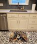 Bearded Collie Fall Kitchen Pumpkins Memory Foam Kitchen Mat Machine Washable Anti-Fatigue Mat Cushion Comfort Bath Mat Or Kitchen Rug_maomaolike.com