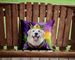 Great Pyrenees King Of Mardi Gras Throw Pillow Machine Washable, Indoor Outdoor Decorative Pillow For Couch, Bed Or Patio, 14Hx14W_maomaolike.com