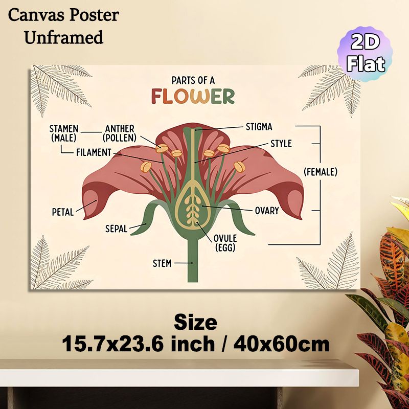 Flower Anatomy Painting Poster, Warm-toned Educational Botanical Poster, Informative Labeled Flower Parts Reference Suitable For Study Rooms_maomaolike.com