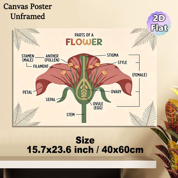 Flower Anatomy Painting Poster, Warm-toned Educational Botanical Poster, Informative Labeled Flower Parts Reference Suitable For Study Rooms_maomaolike.com