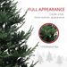 7.5 Ft Prelit Christmas Tree, Nordic Pine Artificial Christmas Tree With 300 Dual Color LED Lights And 1218 Branch Tips, Hinged Xmas Tree With Wide Base For Holiday Party, Green_maomaolike.com