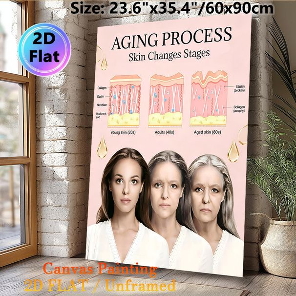Skin Aging Process Painting Poster, Informative Illustrated Skin Stage Comparison Poster, Educational Skincare Reference Ideal For Beauty Salon_maomaolike.com