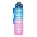 1L Bottle 12 Colors Leak Proof With Time Mark Drink And Straw Motivational Drinki Sports Water Bottle For Outdoor_maomaolike.com