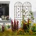 2 Pack Metal Garden Trellis 86.7" X 19.7" Rustproof Trellis For Climbing Plants Outdoor Flower Support Brown_maomaolike.com