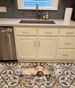 Bloodhound The Chef Memory Foam Kitchen Mat Machine Washable Anti-Fatigue Mat Cushion Comfort Bath Mat Or Kitchen Rug_maomaolike.com