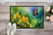 Kentucky Goldenrod In Watercolor Doormat Front Door Mat Indoor Outdoor Rugs For Entryway, Non Slip Washable Low Pile, 24H X 36W_maomaolike.com