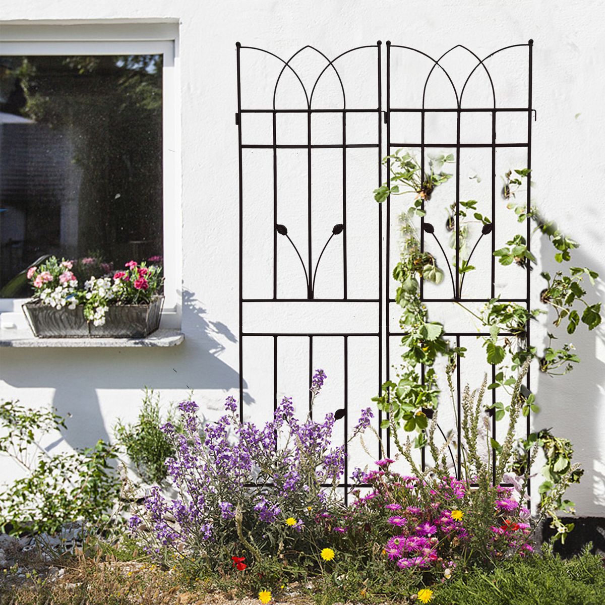 2 Pack Metal Garden Trellis 71" X 17.7" Rustproof Trellis For Climbing Plants Outdoor Flower Support Black_maomaolike.com
