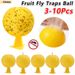 3-10Pcs Traps Ball Sticky Glue Indoor Outdoor Fruit Fly Catcher Insects Hoverfly Gnat Pest Repeller_maomaolike.com