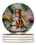 Nova Scotia Duck Tolling Retriever Spring Path Large Sandstone Coasters Pack Of 4 Absorbent Round Coasters Decor Gifts For Men Or Women, 4 In, Multicolor_maomaolike.com