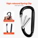 Caribeaner Clip Spring Snap Hook Keyring Camping Sports Karabiner 10 PCS_maomaolike.com
