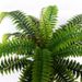 Touch Green Pointed Tail Large Fern Fake Flower Persian Leaf Artificial Home Decoration Grass Potted Plant_maomaolike.com