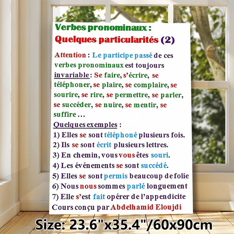 French Pronominal Verbs Painting Poster, Color-coded Educational Text Poster, Clear French Grammar Learning Guide, Suitable For Language Classrooms_maomaolike.com