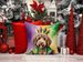 Labradoodle King Of Mardi Gras Throw Pillow Machine Washable, Indoor Outdoor Decorative Pillow For Couch, Bed Or Patio, 18Hx18W_maomaolike.com