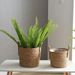 Nordic Light Luxury Rattan Woven Floor Basket Qixi Festival Internet Celebrity Bear Version Hug Bucket Living Room_maomaolike.com
