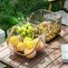 Dried Outdoor Camping Vegetable Transparent Fruit Handheld Multifunctional Bath Desktop Snack Storage Basket_maomaolike.com