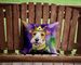 Fox Terrier King Of Mardi Gras Throw Pillow Machine Washable, Indoor Outdoor Decorative Pillow For Couch, Bed Or Patio, 14Hx14W_maomaolike.com
