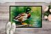Mallard Doormat Front Door Mat Indoor Outdoor Rugs For Entryway, Non Slip Washable Low Pile, 24H X 36W_maomaolike.com