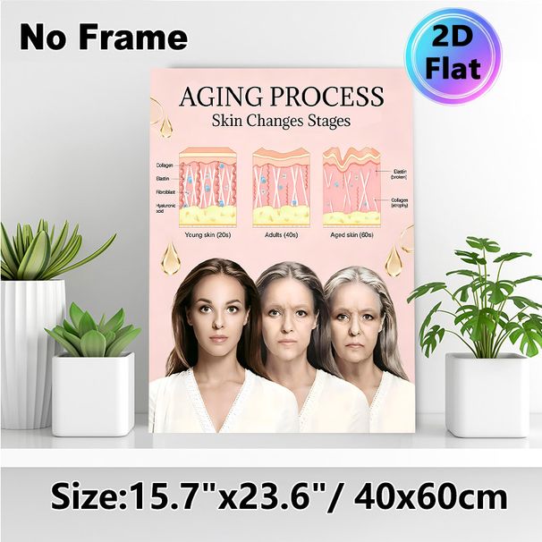 Skin Aging Process Painting Poster, Informative Illustrated Skin Stage Comparison Poster, Educational Skincare Reference Ideal For Beauty Salon_maomaolike.com