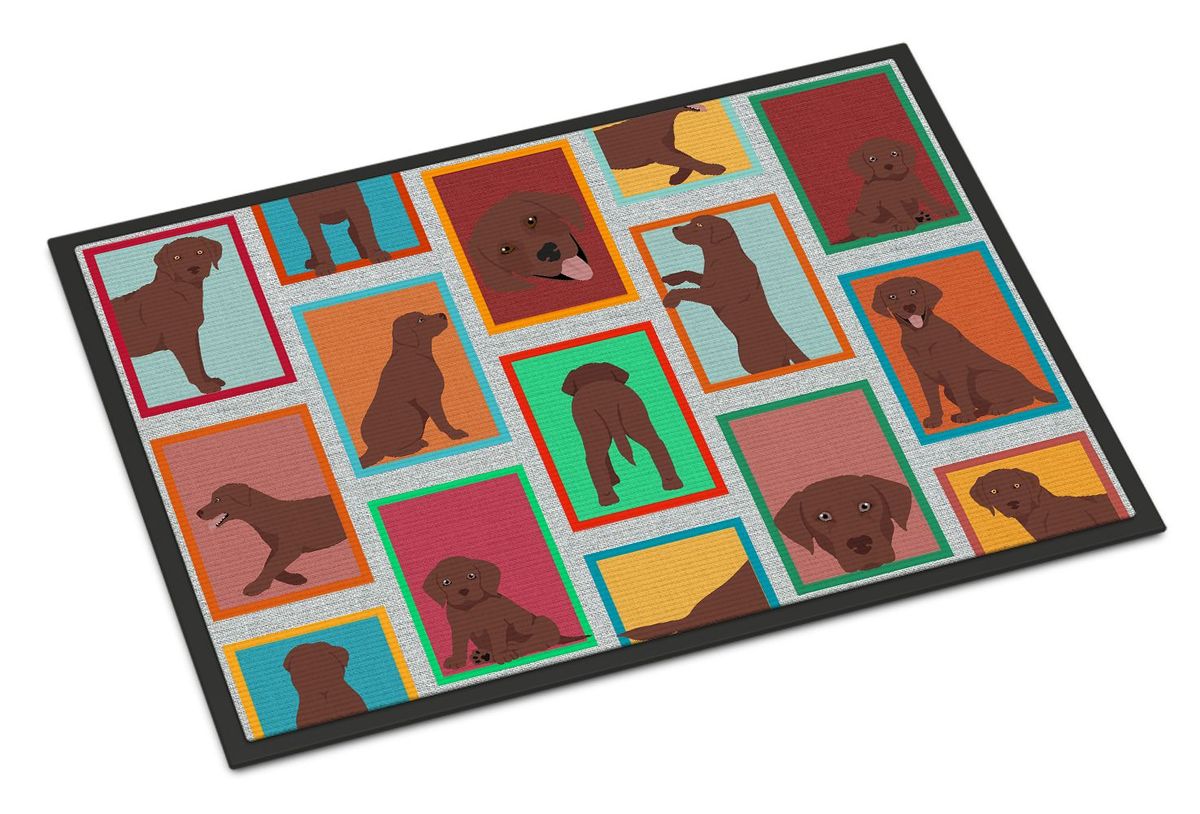 Lots Of Chocolate Labrador Retriever Doormat Front Door Mat Indoor Outdoor Rugs For Entryway, Non Slip Washable Low Pile, 24H X 36W_maomaolike.com
