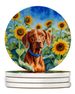 Vizsla In Sunflowers Large Sandstone Coasters Pack Of 4 Absorbent Round Coasters Decor Gifts For Men Or Women, 4 In, Multicolor_maomaolike.com