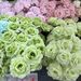 Factory Direct Sale 3-Head Diamond Rose Wall Check-In Decoration Wedding Fake Artificial Flower Ground Arrangement_maomaolike.com