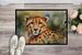 Cheetah Doormat Front Door Mat Indoor Outdoor Rugs For Entryway, Non Slip Washable Low Pile, 24H X 36W_maomaolike.com