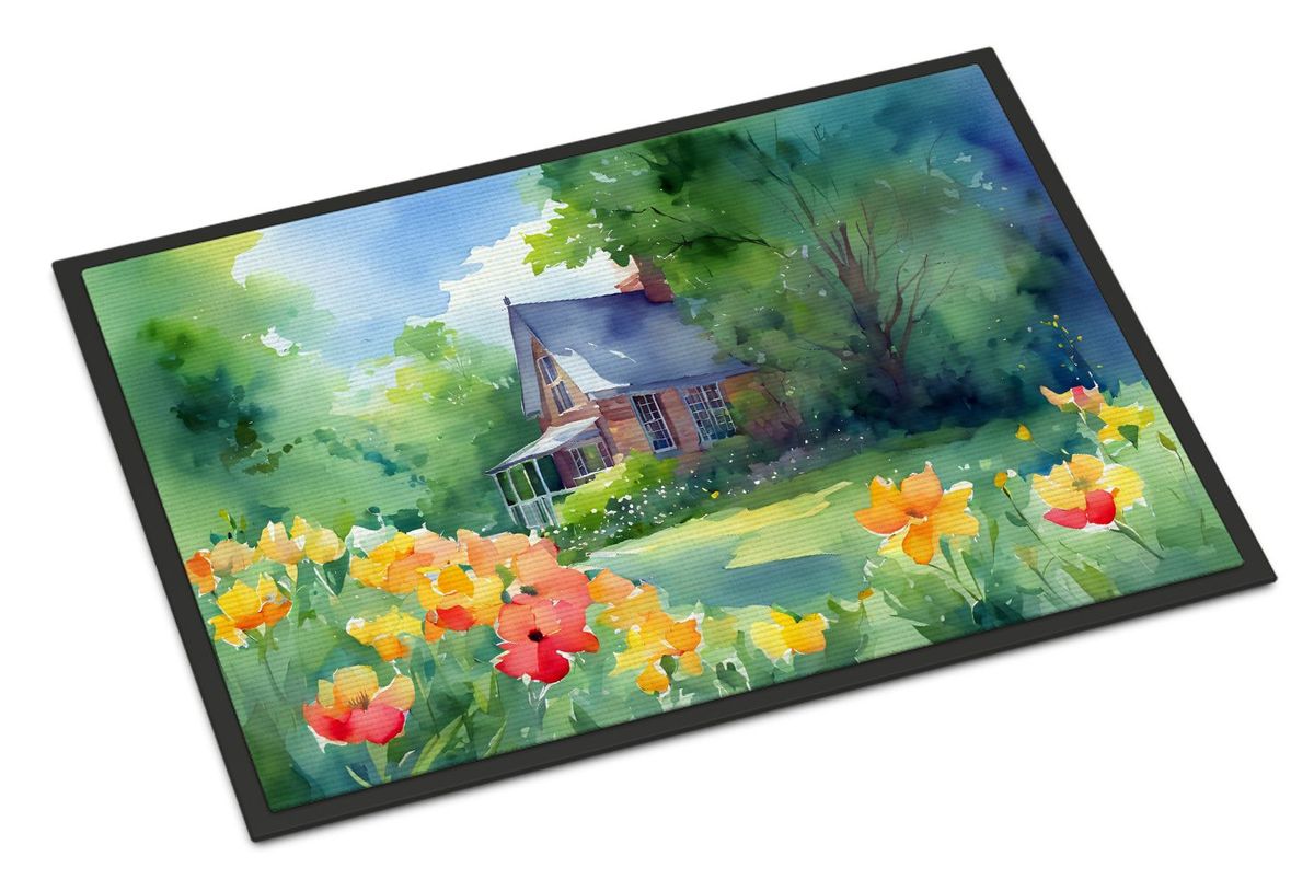 Massachusetts Mayflowers In Watercolor Doormat Front Door Mat Indoor Outdoor Rugs For Entryway, Non Slip Washable Low Pile, 24H X 36W_maomaolike.com