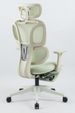 Ergonomic Office Chair With Footrest, High Back Computer Office Chair With Dynamic Lumbar Support, 2D Headrest, 2D Armrest, Sponge Seat, Mesh Home Office Desk Chair For Adults, GREEN_maomaolike.com