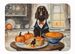 Boykin Spaniel Fall Kitchen Pumpkins Memory Foam Kitchen Mat Machine Washable Anti-Fatigue Mat Cushion Comfort Bath Mat Or Kitchen Rug_maomaolike.com
