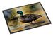 American Black Duck Doormat Front Door Mat Indoor Outdoor Rugs For Entryway, Non Slip Washable Low Pile, 24H X 36W_maomaolike.com