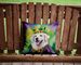 Kuvasz King Of Mardi Gras Throw Pillow Machine Washable, Indoor Outdoor Decorative Pillow For Couch, Bed Or Patio, 14Hx14W_maomaolike.com