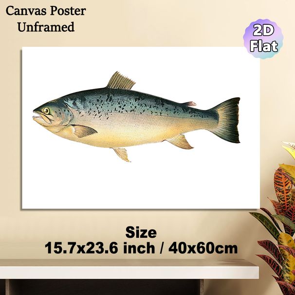 Salmon Themed Painting Poster, Vintage Detailed Salmon Illustration Poster, Realistic Aquatic Artwork, Suitable For Coastal-themed Spaces, Dining_maomaolike.com