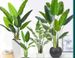 Cross-Border Haihong Green Realistic Feel Traveler's 120cm Floor-Standing Indoor High-End Artificial Plant Banana Tree_maomaolike.com