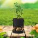 7/10 Gallon Potato Grow Bag Felt Non-woven Fabric Garden Potato Pot Greenhouse Vegetable Growing Bags With 360° Visualization_maomaolike.com