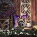 Cairn Terrier King Of Mardi Gras Throw Pillow Machine Washable, Indoor Outdoor Decorative Pillow For Couch, Bed Or Patio, 14Hx14W_maomaolike.com