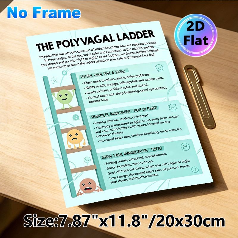 Polyvagal Ladder Painting Poster, Informative Pastel-colored Illustrated Educational Poster, Clearly Explains Nervous System Stress Response Stages_maomaolike.com