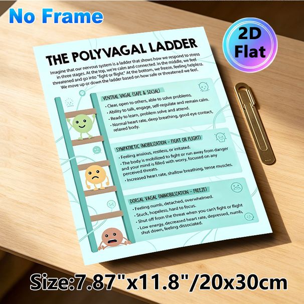 Polyvagal Ladder Painting Poster, Informative Pastel-colored Illustrated Educational Poster, Clearly Explains Nervous System Stress Response Stages_maomaolike.com