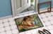 Lion Doormat Front Door Mat Indoor Outdoor Rugs For Entryway, Non Slip Washable Low Pile, 24H X 36W_maomaolike.com
