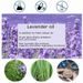 Sleep Wholesale Lavender Aromatherapy Spray In Stock Cross-Border English Version_maomaolike.com