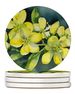 South Carolina Yellow Jessamine In Watercolor Large Sandstone Coasters Pack Of 4 Absorbent Round Coasters Decor Gifts For Men Or Women, 4 In, Multicolor_maomaolike.com