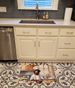 Chocolate Labrador Retriever The Chef Memory Foam Kitchen Mat Machine Washable Anti-Fatigue Mat Cushion Comfort Bath Mat Or Kitchen Rug_maomaolike.com