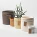 Nordic INS Ceramic Flower Succulent Plant Pot Modern Simple Personality Green Radish Rose Vintage Straight Cylinder_maomaolike.com