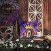 American English Coonhound King Of Mardi Gras Throw Pillow Machine Washable, Indoor Outdoor Decorative Pillow For Couch, Bed Or Patio, 14Hx14W_maomaolike.com