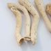 【Driftwood】Dry Branch Aromatherapy Base Hollow Natural Tree Root Dead Climbing Pet Hideout Wood Landscaping Fish Tank_maomaolike.com