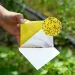 20-50 10x20cm Double-Sided Sticky Traps - Non-Toxic Fly & Bug Catchers, Durable Yellow Polypropylene Boards For_maomaolike.com