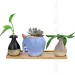 6Pcs Flowerpot Wooden Bamboo Tray Stand Indoor Plate Nursery Plant Holders Garden Saucers Storage Desktop Bonsai Decoration_maomaolike.com