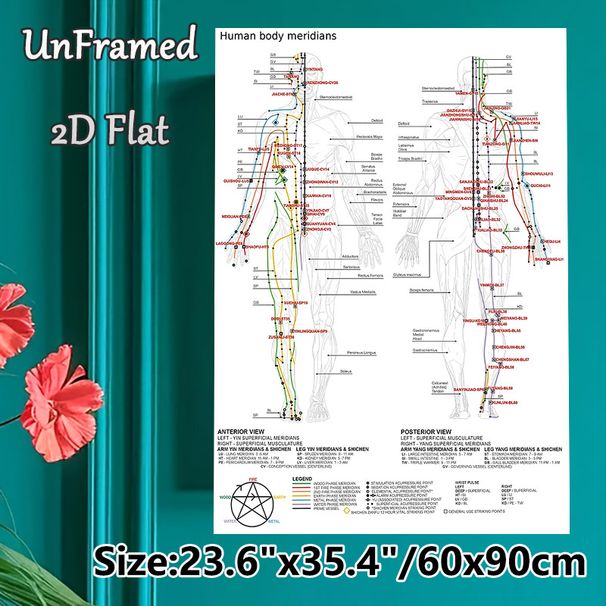 Human Body Meridians Painting Poster, Clear Detailed Anatomical Chart Poster, Educational Reference For Acupuncture Study, Suitable For Clinic And_maomaolike.com